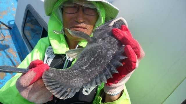12일 조항 사진 17