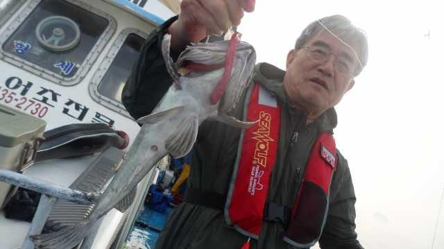5월15일조항 사진 6