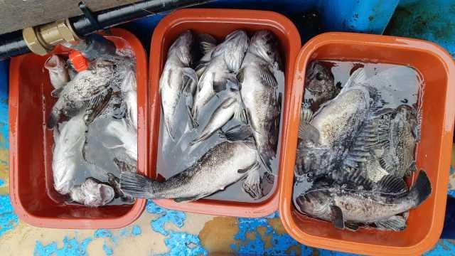 17일조항 사진 2