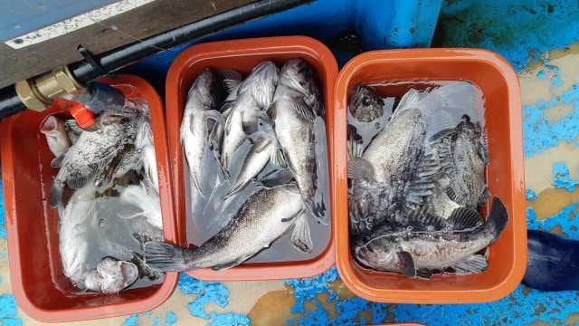 17일조항 사진 3