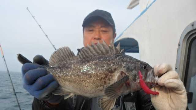 30일 조항 사진 4