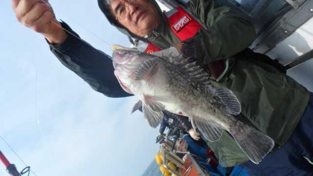 30일 조항 사진 6