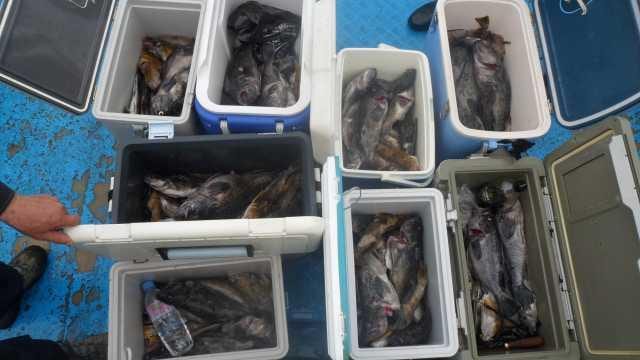 30일 조항 사진 16
