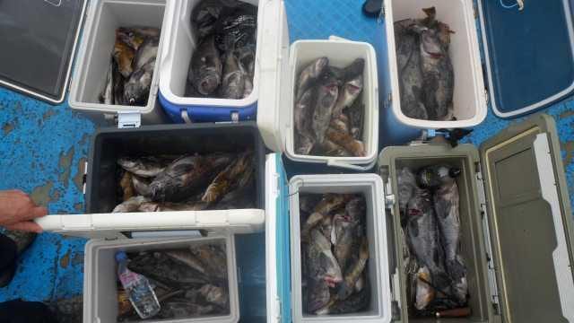 30일 조항 사진 17