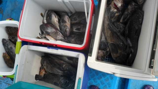 6월9일 조항 사진 16