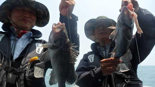 11일 조항 사진 1