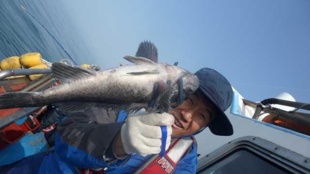 11일 조항 사진 7