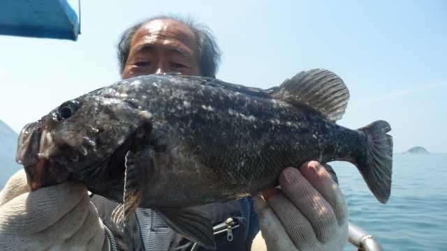 13일 조항 사진 3