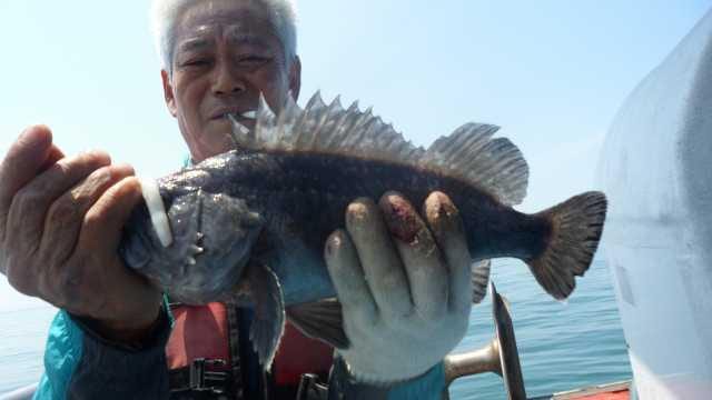 13일 조항 사진 8