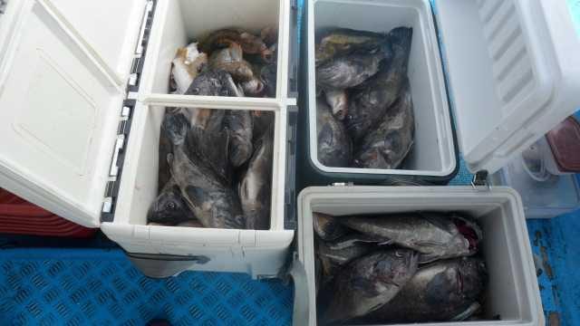 13일 조항 사진 14