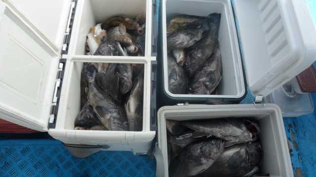 13일 조항 사진 1