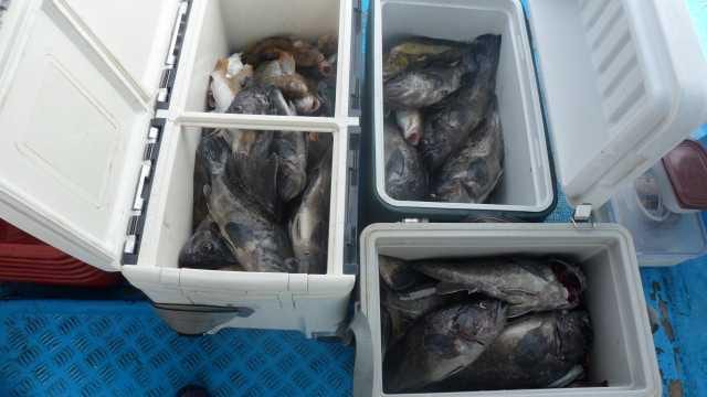 13일 조항 사진 2