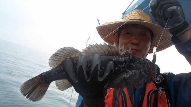 29일 조항 사진 3