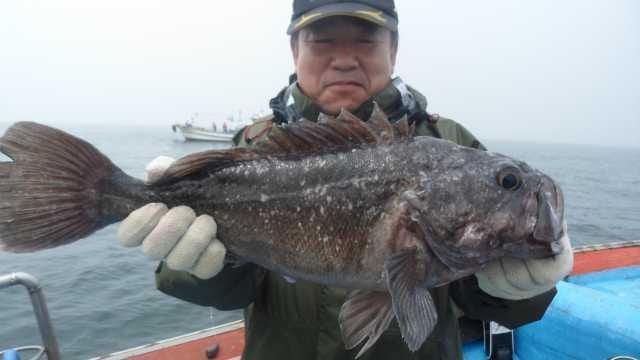 13일 조항 사진 1