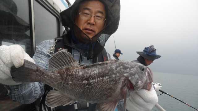 13일 조항 사진 2