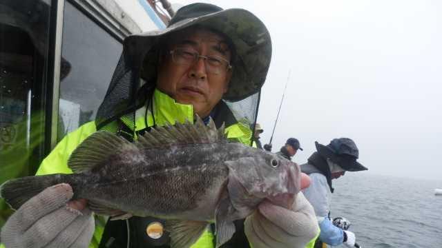 13일 조항 사진 6
