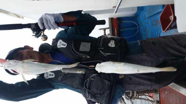 27일 백조기 탐사 조항 사진 5