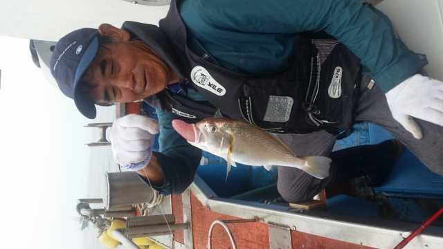 27일 백조기 탐사 조항 사진 8