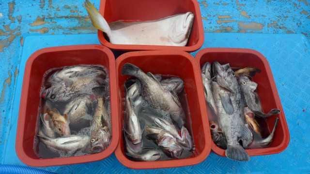 9월21일 우럭단체조항 사진 8