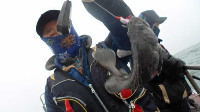 4월18일 조항 사진 16