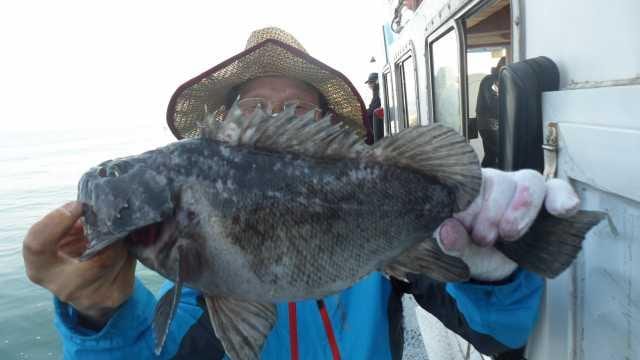 31일조황 사진 1