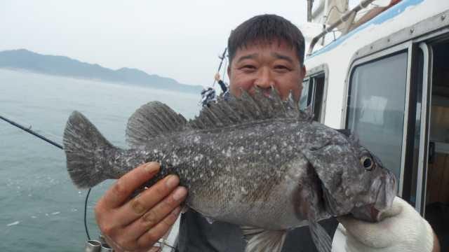 31일조황 사진 7