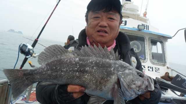 31일조황 사진 8