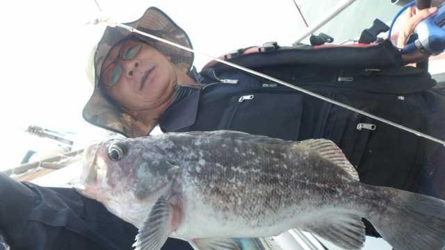 31일조황 사진 11
