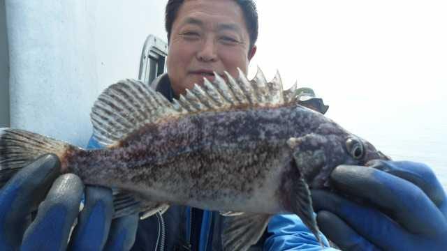 31일조황 사진 12