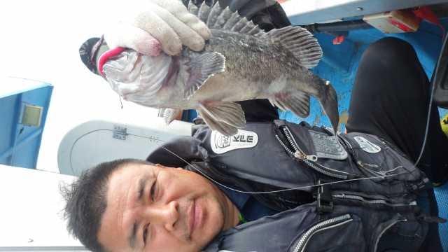 31일조황 사진 13