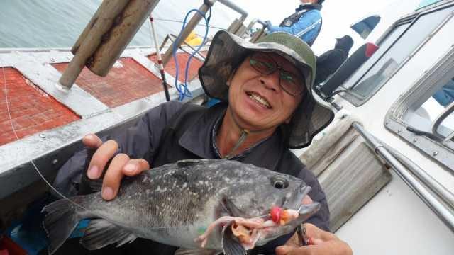 31일조황 사진 15
