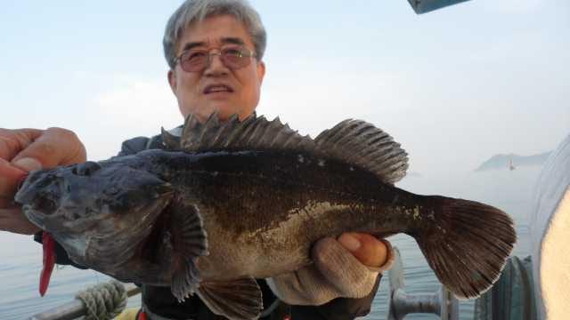 31일조황 사진 18