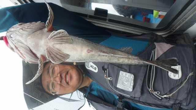 6월12일 조항 사진 13