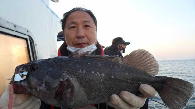 11일 조항 사진 6
