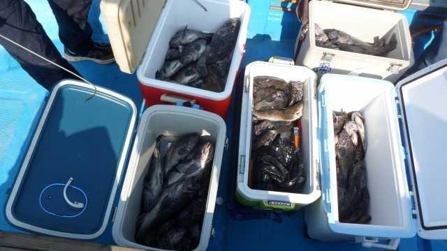 4월6일 5분 조항 사진 1