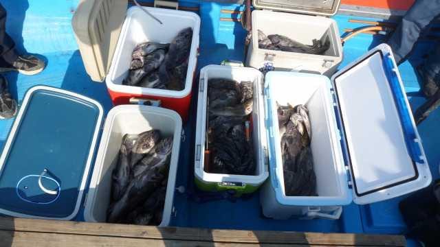4월6일 5분 조항 사진 11