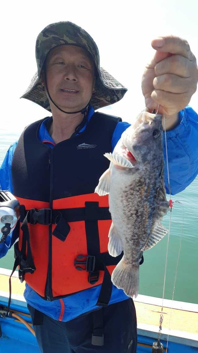 5월19일 조항 사진 4