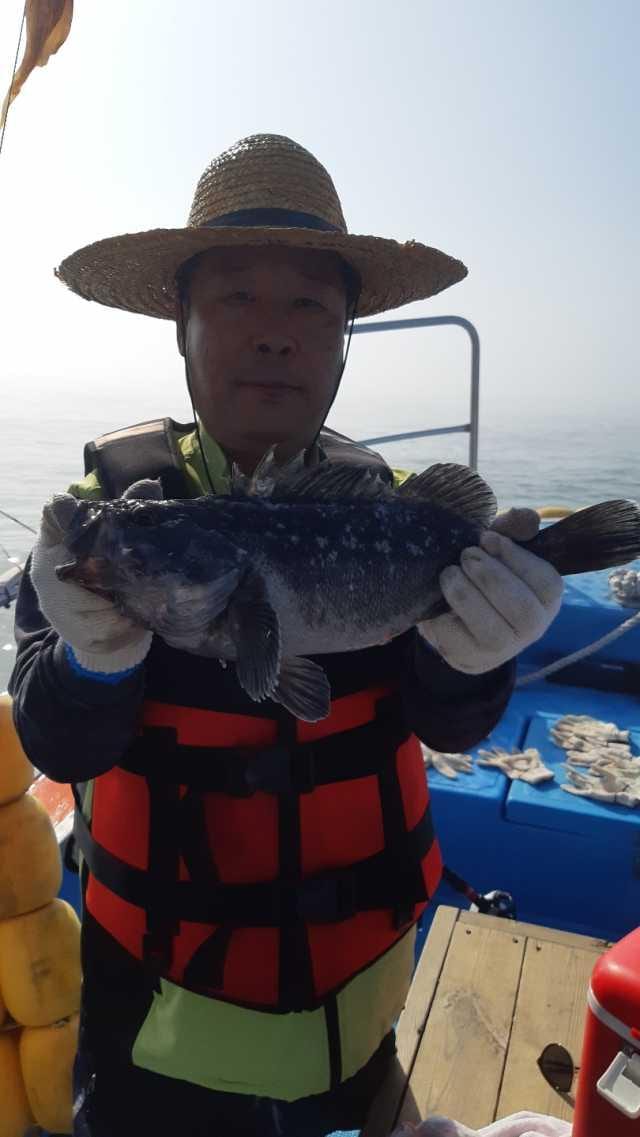 5월19일 조항 사진 5