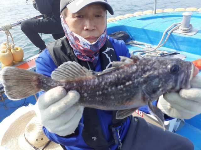 5월 22일 조항 사진 4