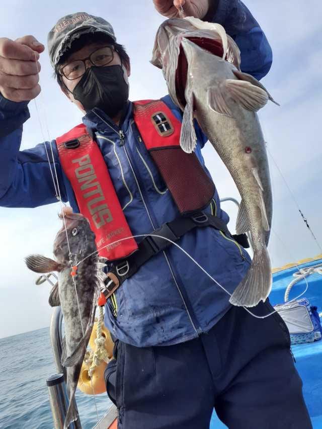 11월15일6분 굿조항 사진 4