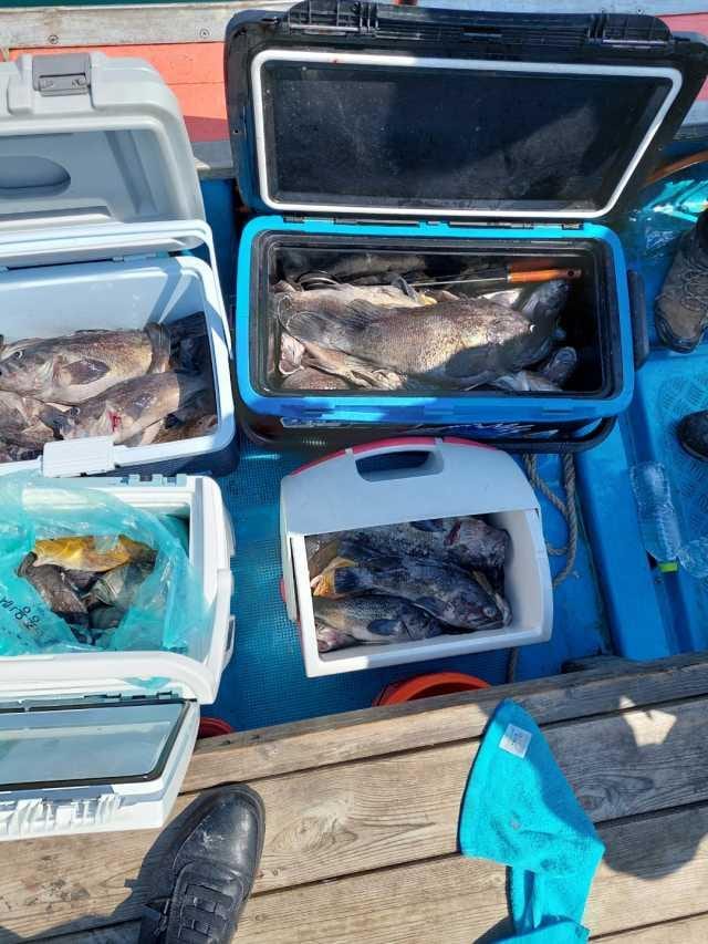 5월6일조항 사진 4