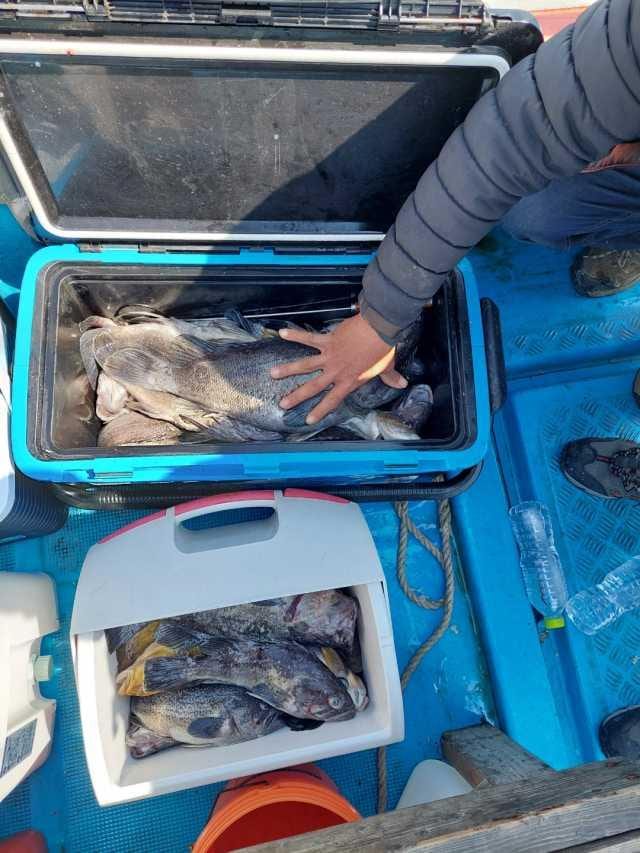 5월6일조항 사진 6