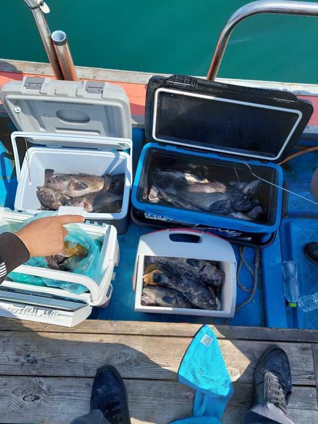 7일5분조항 사진 5