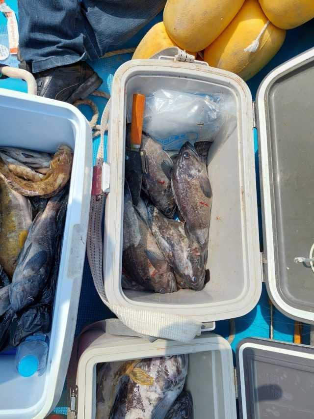 25일조항 사진 1