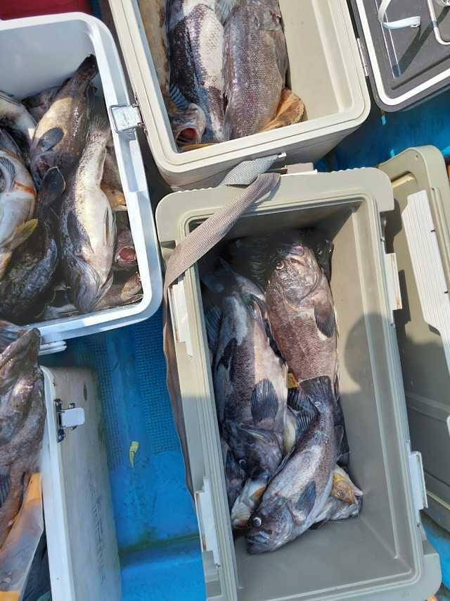 25일조항 사진 2