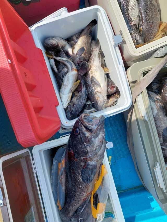 25일조항 사진 3
