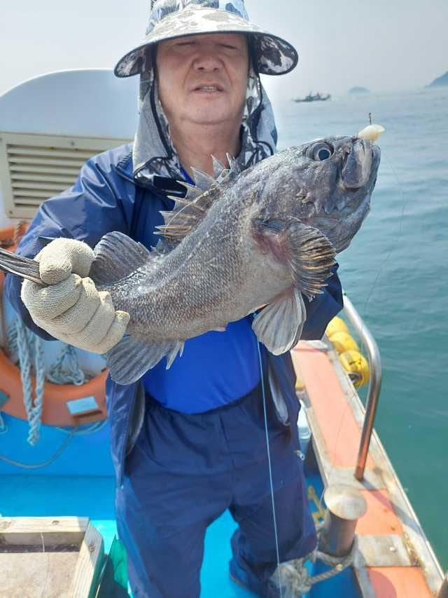 25일조항 사진 5