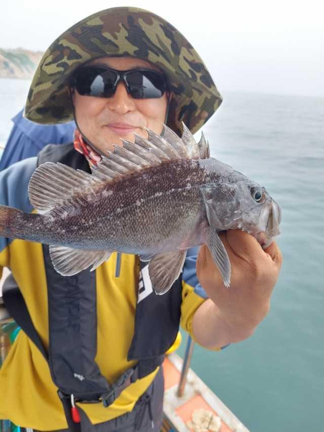 25일조항 사진 6
