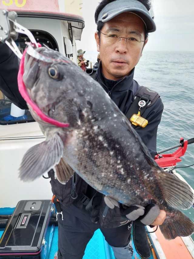 6월5일 조항 사진 4