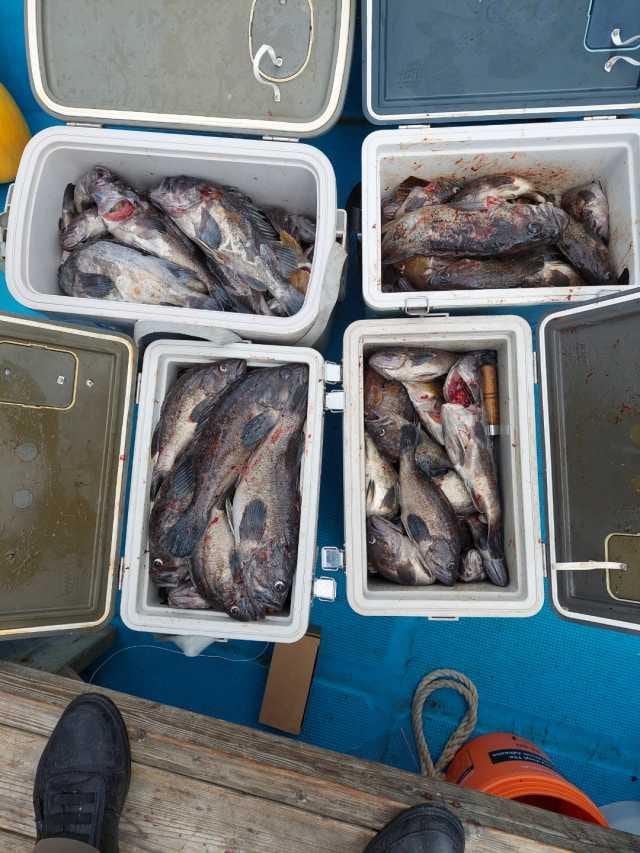 6월7일 조항 사진 1
